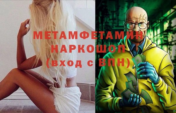 сатива Беломорск