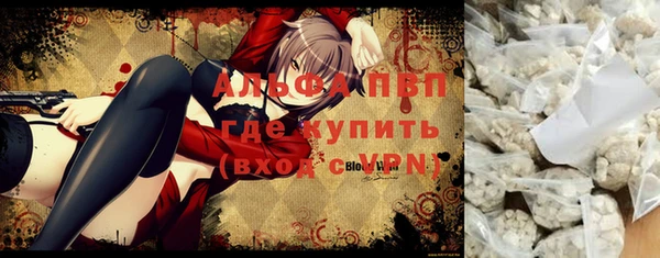 шишки Анжеро-Судженск