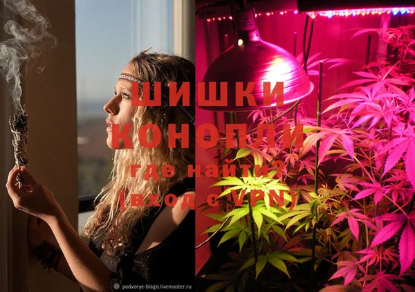 индика Анива