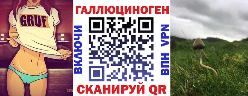 где купить наркоту  Гатчина  Псилоцибиновые грибы Psilocybine cubensis 